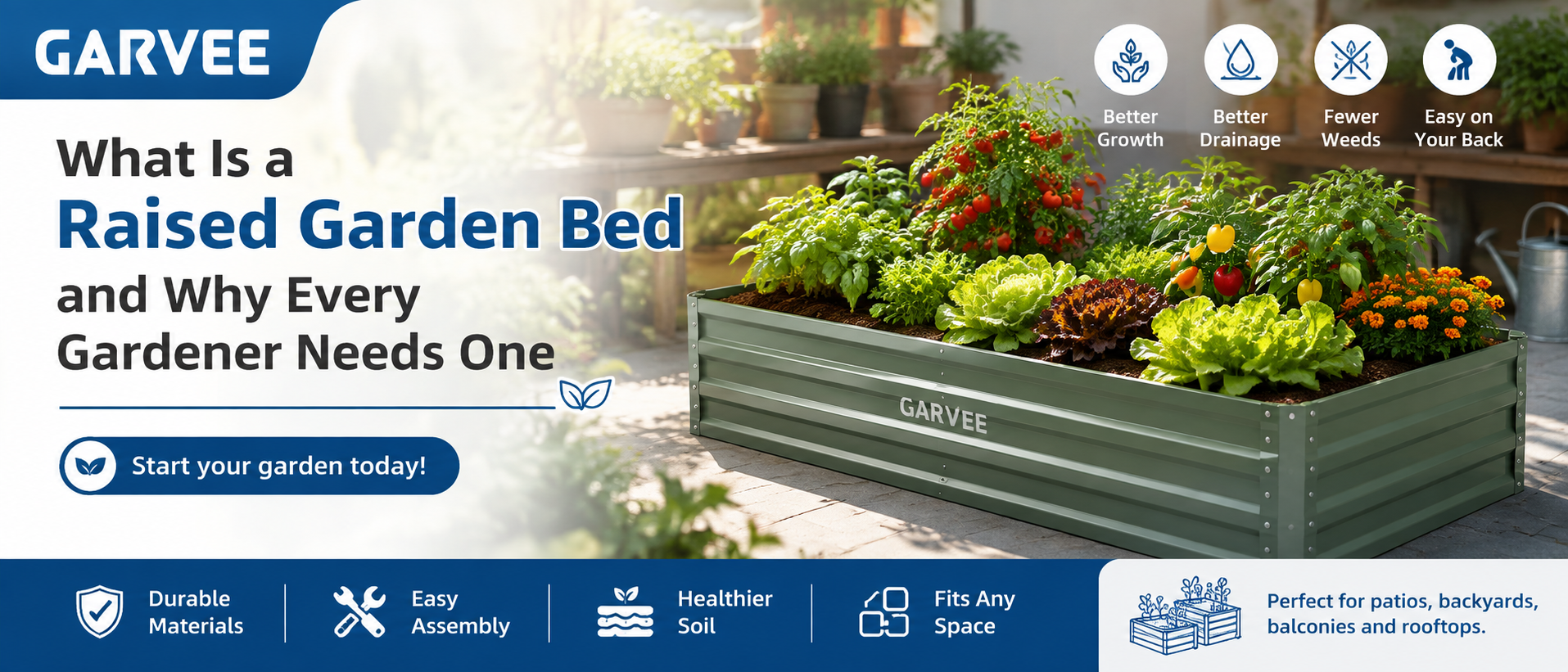 What Is a Raised Garden Bed and Why Every Gardener Needs One